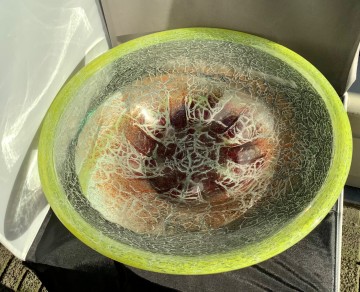 13c299e5 bd3c 47b5 9dae afa522324cfe