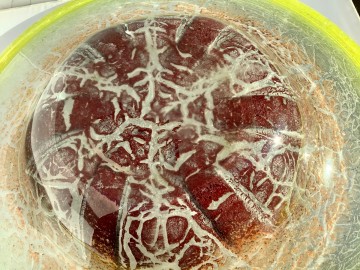 1e1d1d8c 9b90 4f2d b4b6 6fb683158041