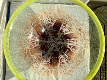 4d819123 59d0 48c0 8807 21f88ac36b10