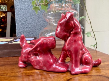 970e7fff 986e 43a9 a0c5 271569a0714c