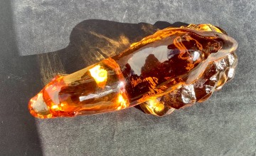 B5c031c5 6f34 44de 99b8 e4b9b9f10b5d