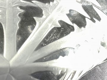 E7a9ba26 932f 4fd2 a5ef f83693635236