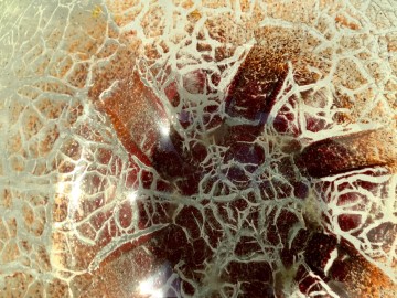 E7c0ec35 3928 4f1e 8073 399891f04989