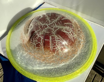 E9cbf809 4bff 4598 9955 0596496d9c56