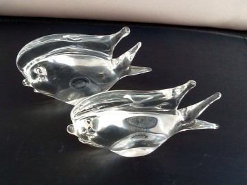 V.Nason&C,twee heldere vissen.